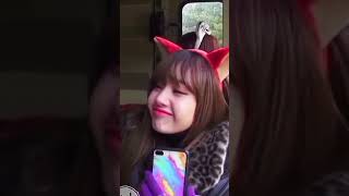 Cute Lisa☺☺ // I have never seen her being this much cute ever before 😃\\ Your biased in 🖤BLΛƆKPIИK?