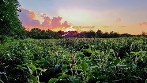 More pretty pictures in the PhotoLink Library