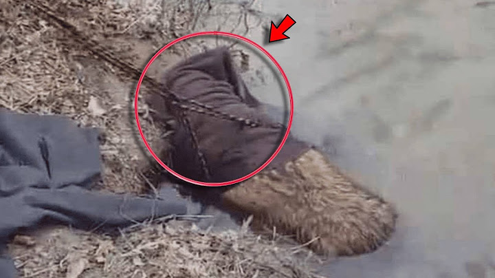 Someone Was Floundering in The Water; When He Came Closer, The Man Almost Fainted!