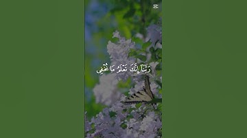 آيات-بينات#  رَبَّنَا إِنَّكَ تَعْلَمُ مَا نُخْفِي وَمَا نُعْلِنُ ۗ