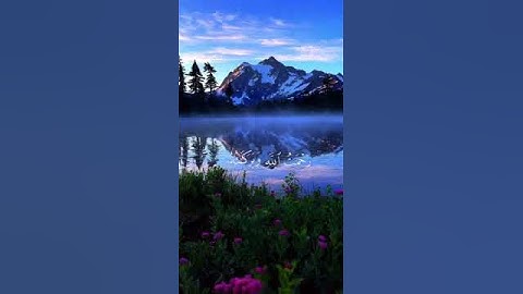 سورة هود الاية:(٧٣)