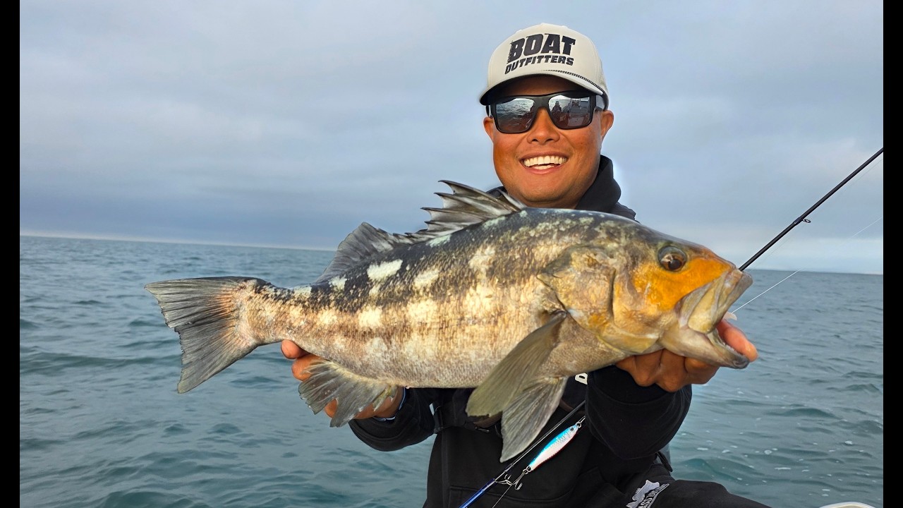 Metal Jigs Destroy Calico and Sand Bass