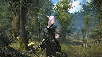 「Final Fantasy XIV」A Realm Reborn: Antumbral Rock HQ (PS4)