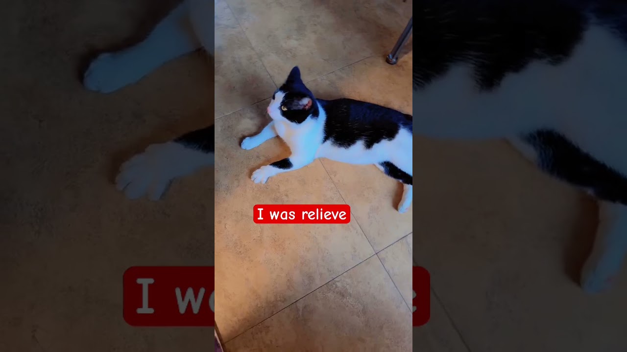 Это был Лео 😳 