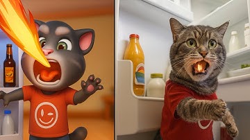 Talking Tom Cat 2025 In Real Life Part 27