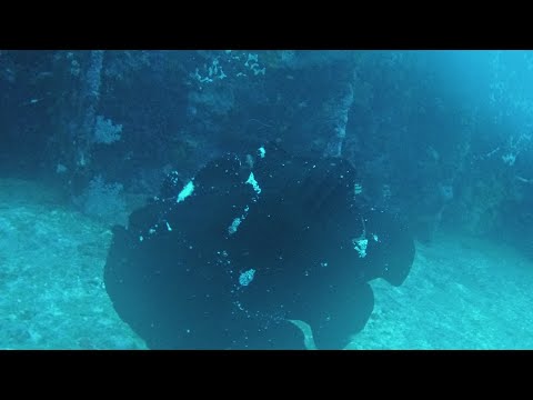 Video: Wreck Diving Australia: 3 Tapak Yang Boleh Anda Lawati Sekarang - Matador Network