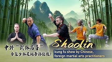 Watch: Chinese and foreign martial arts practitioners display their stunning Shaolin kung fu skills