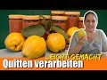 Rezept Kürbis Quitte