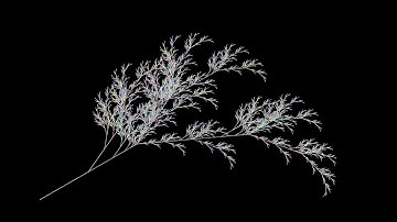 Fractal generation using L-Systems | Processing