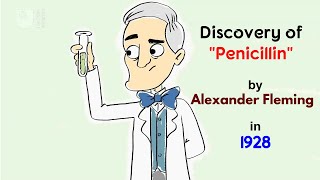 The accidental discovery of the miracle drug penicillin\/Discovery of penicillin by Alexander Fleming