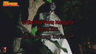 Short Movie Horror Comedy | Ketika Naik Pohon Mangga Di Malam Hari. Diganggu Kunti!! Part 2