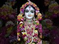 Radha Rani 🥺 #trendingshorts #devotionalbhajan #explore #youtubeshorts #fypシ゚viral #fyp