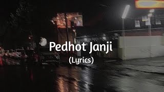Pedhot Janji ( Speed up \u0026 Lyrics ) - Tiktok Version