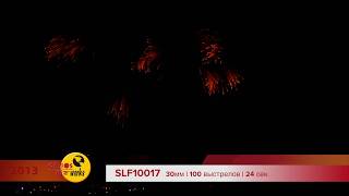 SLF10017 2013