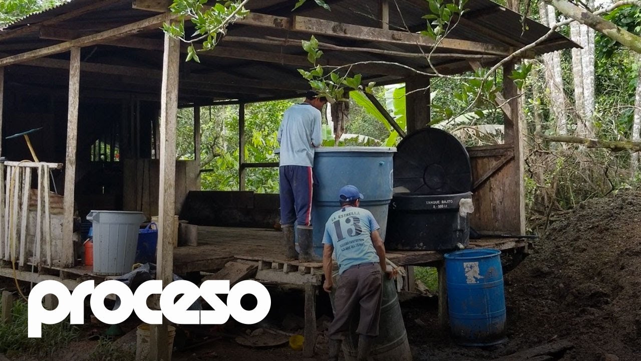 Así se fabrica y se exporta la cocaína colombiana