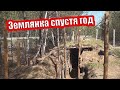 #Лес #Землянка #Поход Как делают  землянку военные / Военная  землянка спустя год