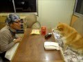 漢字犬