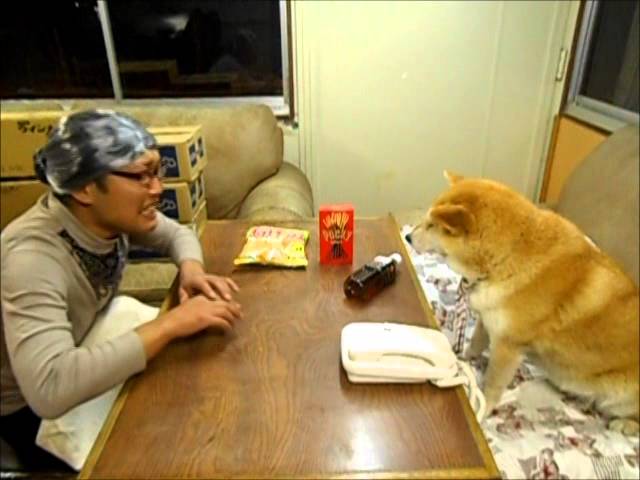 漢字犬 Youtube 漢字犬 Youtube