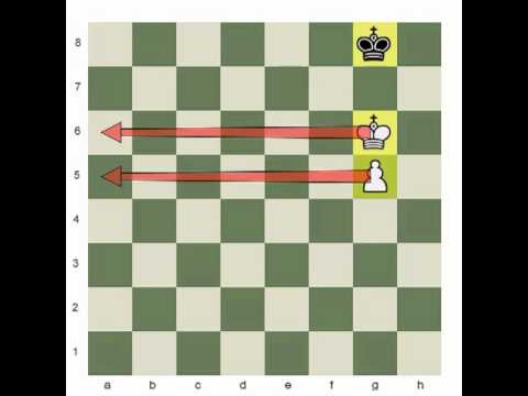 King and Pawn Endings: The Basics!