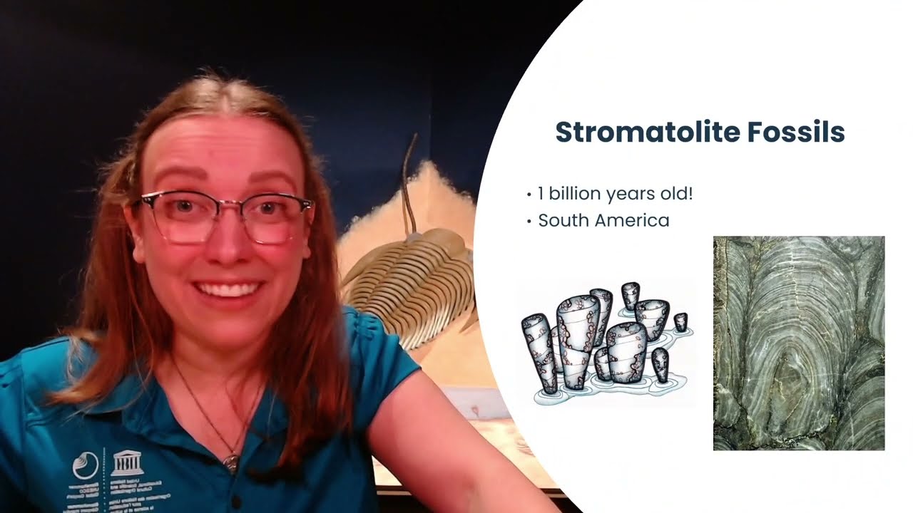 What is Stonehammer?