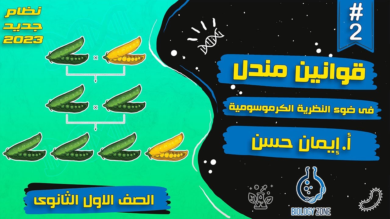 #2 شرح درس قوانين مندل فى ضوء النظرية الكروموسومية | احياء اولى ثانوى الترم الثانى 2023 | إيمان حسن