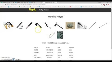FLIPPITY- Mochila de Insignias (Badge Tracker)