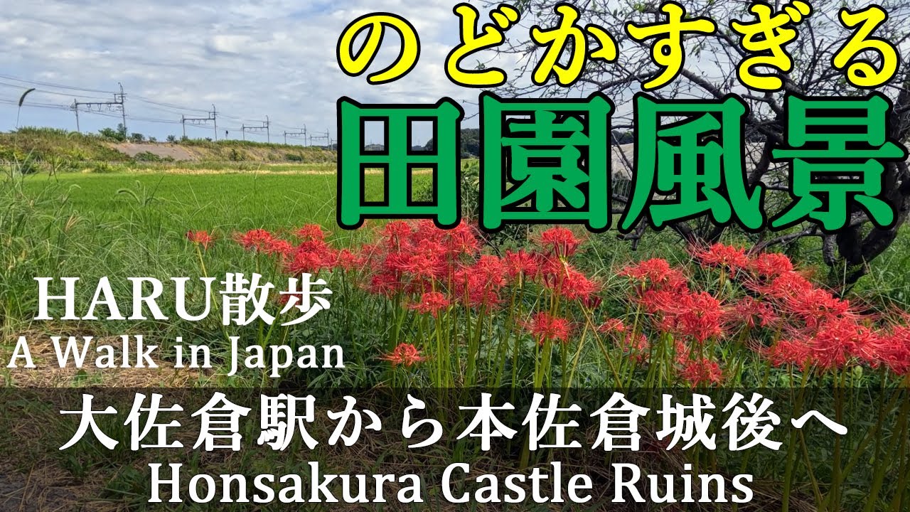【大佐倉駅～本佐倉城跡】京成線で最も利用者が少ない駅にやってきた！