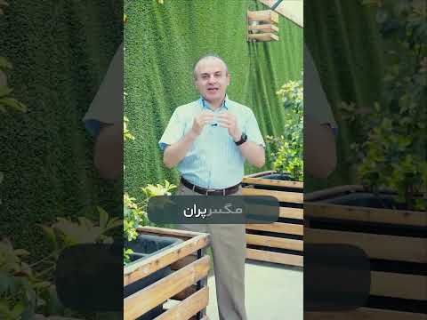 دکتر علیرضا اسلامپور متخصص چشم