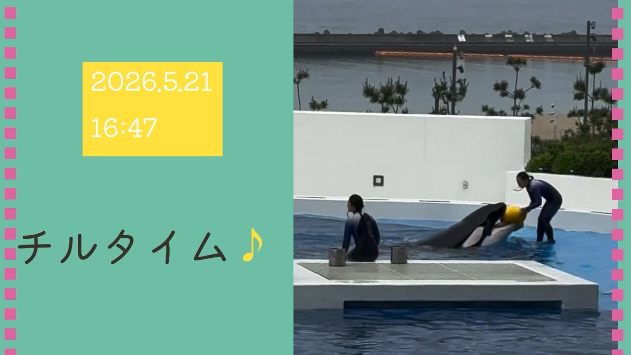 Chill Time♪ 05/21/2026 4:47 PM - YouTube