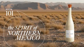 Claudia Romo Edelman: Preserving the Soul of Northern Mexico