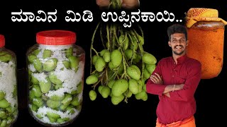 5 kg Midi uppinakaayi | PICKLE KING..! | With measurements | Tender mango pickle recipe | pickle