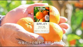 温州しぼり(30本)｜旬の会ラインナップ ｜【カゴメの通販】カゴメ健康