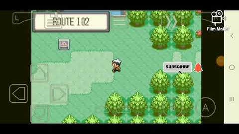 Have all Badges cheat code for Pokemon game Ruby