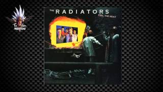 Video thumbnail of "The Radiators - Fess Song"