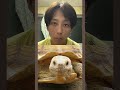 【ソックリ?】羽月が似てるもの選手権！ #羽月隆太郎 #切り抜き #野村勇 #ガチャピン #永瀬廉