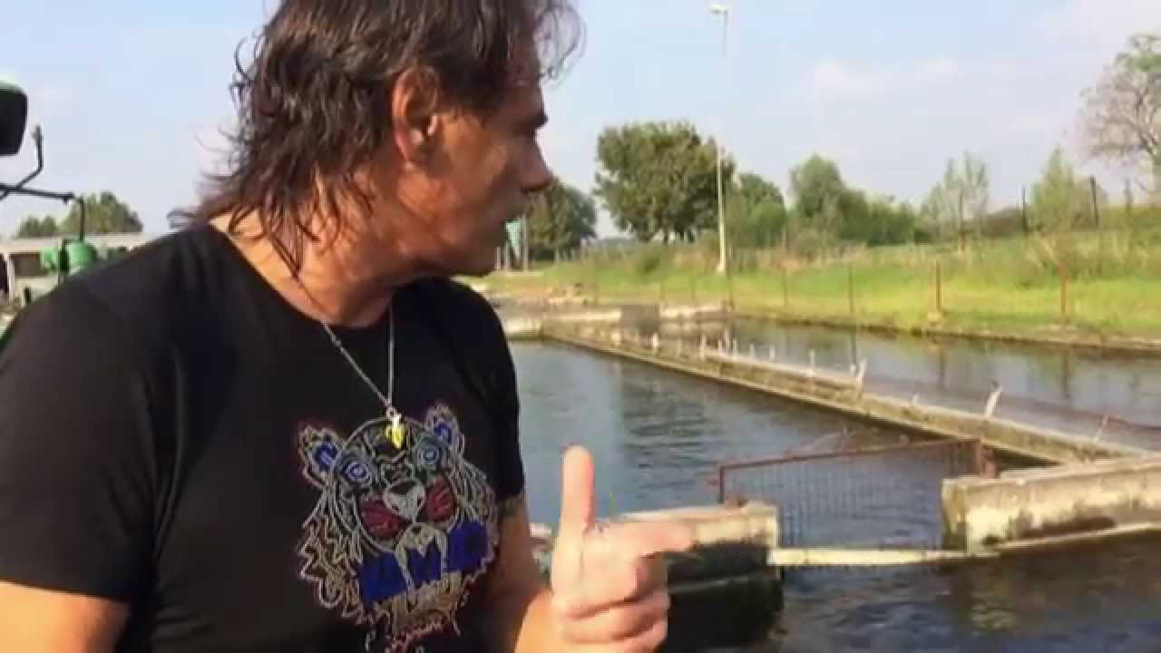 Caviale freschissimo