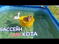 Кот плавает в бассейне 😻 Кот Миллион