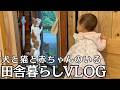 【田舎暮らし】犬と猫と赤ちゃんのいる暮らし