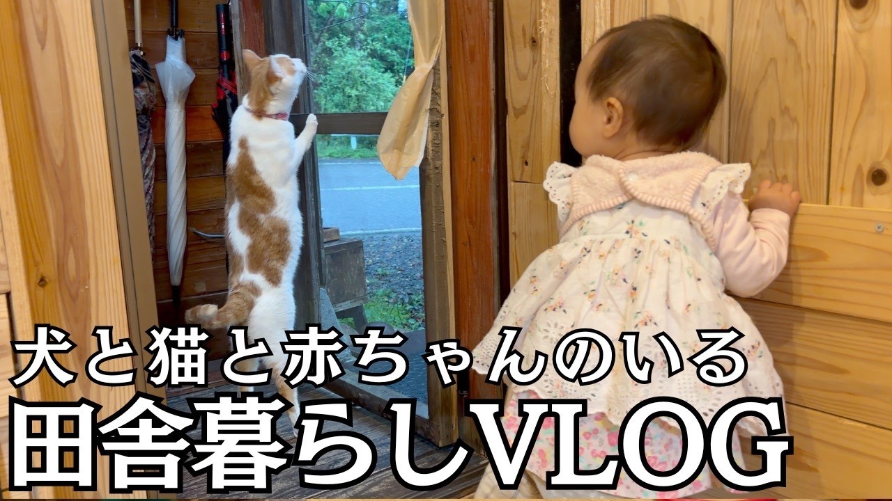 【田舎暮らし】犬と猫と赤ちゃんのいる暮らし