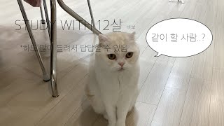 나랑 공부하쟈~ ♡