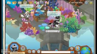 Animal Jam - April Fools Party 2017