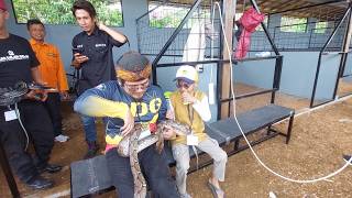 Download Lagu Abah Hakim Interacts With Snakes | Signs In The Dark MP3