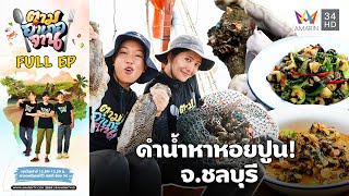 Diving for Spiral Melongena in Mueang Chonburi District, Chonburi