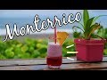 Estamos en el paraíso: Monterrico