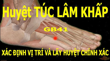 GB41 | Huyệt Túc lâm khấp | Kinh Túc thiếu dương đởm | Acupoint VIKUDO