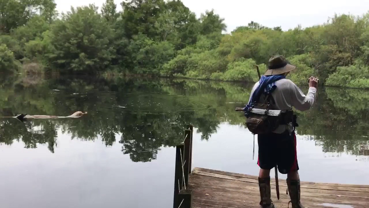 history of violence Fakahatchee Strand - Hilton Pond - Everglades