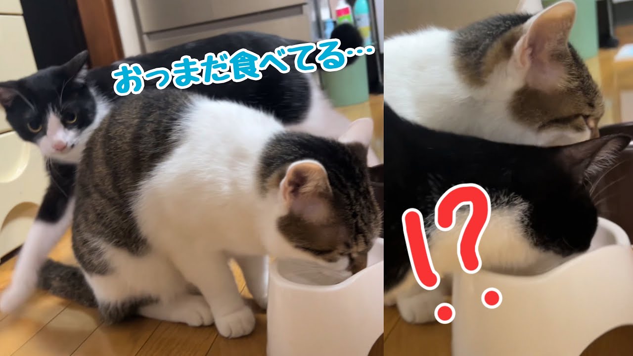 わーーー‼️‼️‼️ - YouTube