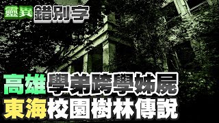 【#靈異錯別字 148】feat.可愛佑佑 東海大學私房鬼故事 舊北體傳說 @台灣大搜索CtiCSI