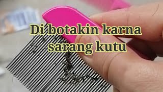 Dibotakin Karna Jadi Sarang Kutu 