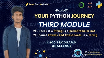 Is it a Palindrome? Count Vowels & Consonants | Your Python Journey | 100 Python Programs #python